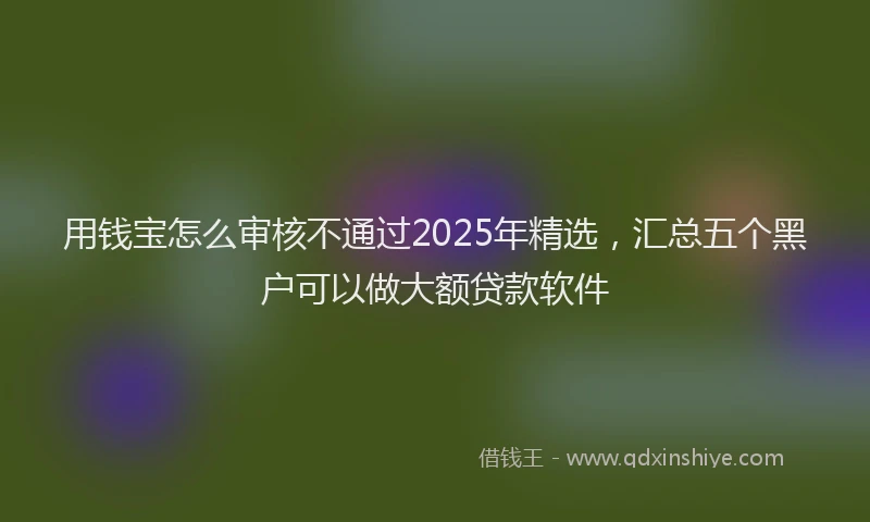 用钱宝怎么审核不通过2025年精选，汇总五个黑户可以做大额贷款软件