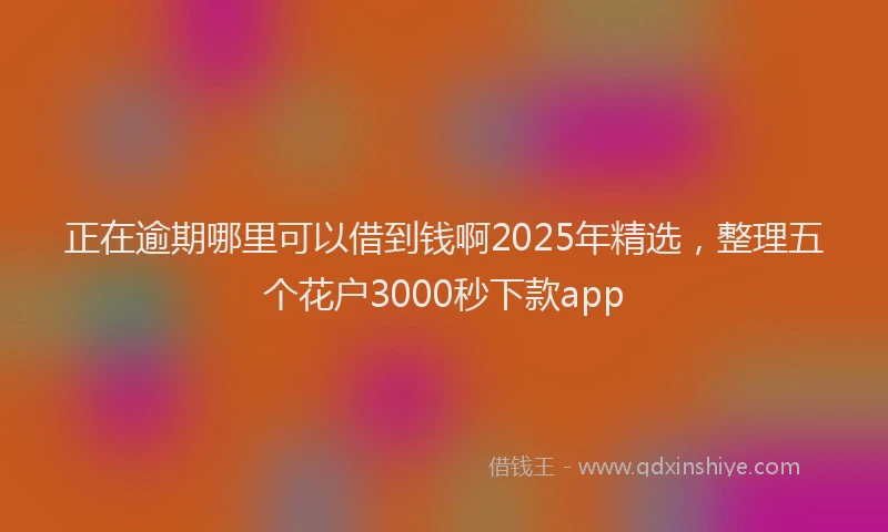 正在逾期哪里可以借到钱啊2025年精选，整理五个花户3000秒下款app