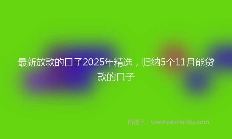 最新放款的口子2025年精选，归纳5个11月能贷款的口子