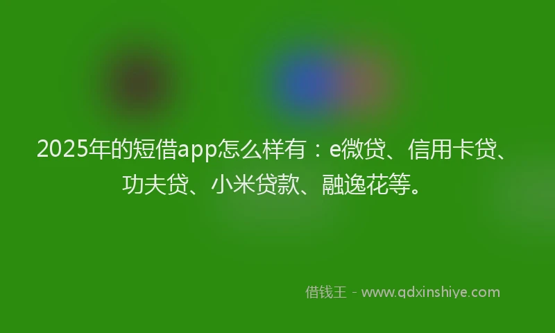 2025年的短借app怎么样有：e微贷、信用卡贷、功夫贷、小米贷款、融逸花等。