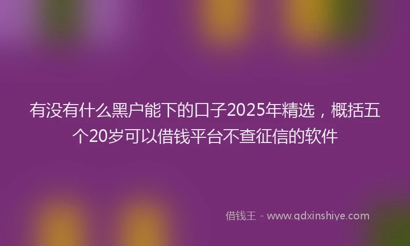 有没有什么黑户能下的口子2025年精选，概括五个20岁可以借钱平台不查征信的软件