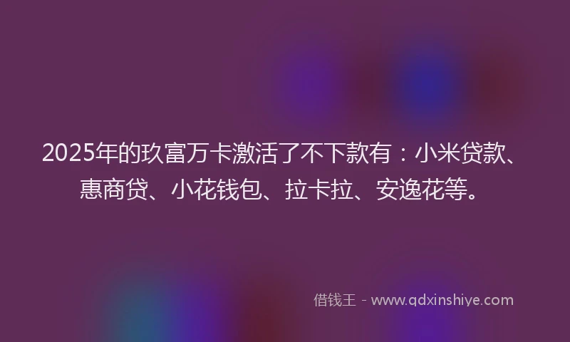 2025年的玖富万卡激活了不下款有：小米贷款、惠商贷、小花钱包、拉卡拉、安逸花等。