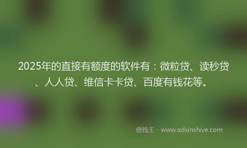 2025年的直接有额度的软件有：微粒贷、读秒贷、人人贷、维信卡卡贷、百度有钱花等。