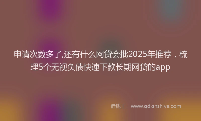 申请次数多了,还有什么网贷会批2025年推荐，梳理5个无视负债快速下款长期网贷的app