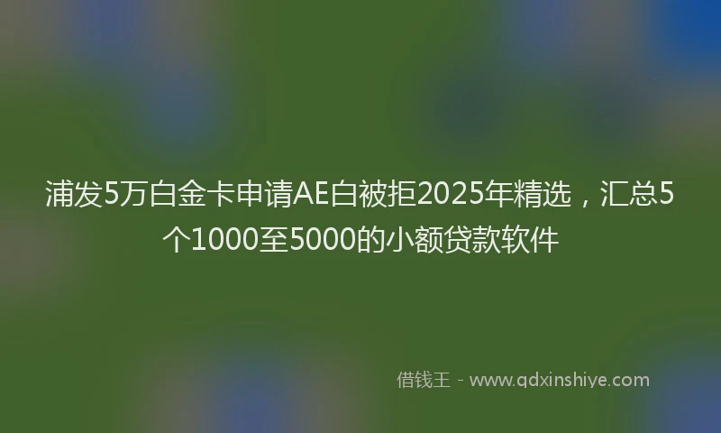 浦发5万白金卡申请AE白被拒2025年精选，汇总5个1000至5000的小额贷款软件