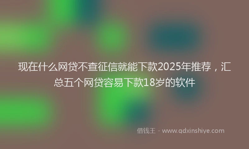 现在什么网贷不查征信就能下款2025年推荐，汇总五个网贷容易下款18岁的软件