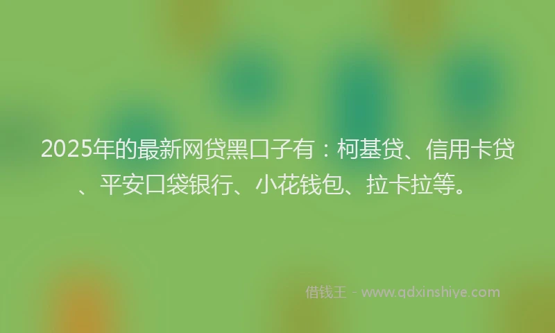 2025年的最新网贷黑口子有：柯基贷、信用卡贷、平安口袋银行、小花钱包、拉卡拉等。