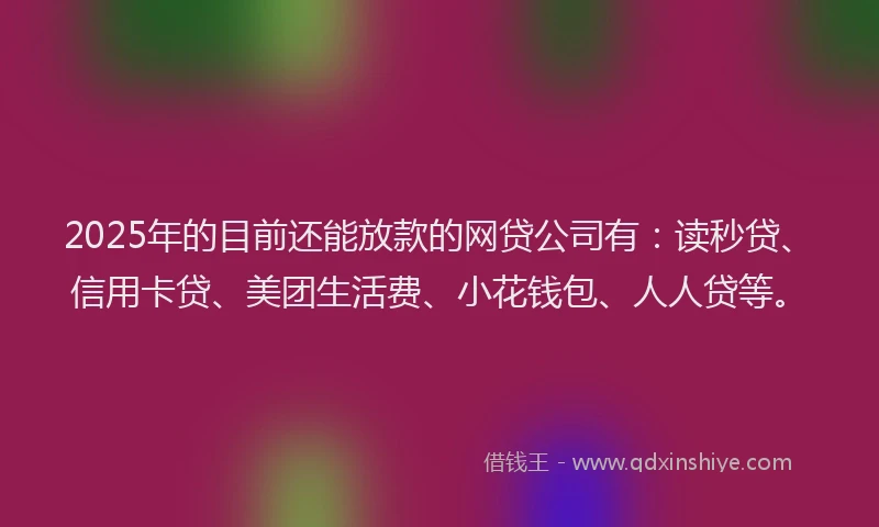 2025年的目前还能放款的网贷公司有：读秒贷、信用卡贷、美团生活费、小花钱包、人人贷等。
