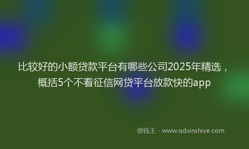 比较好的小额贷款平台有哪些公司2025年精选，概括5个不看征信网贷平台放款快的app