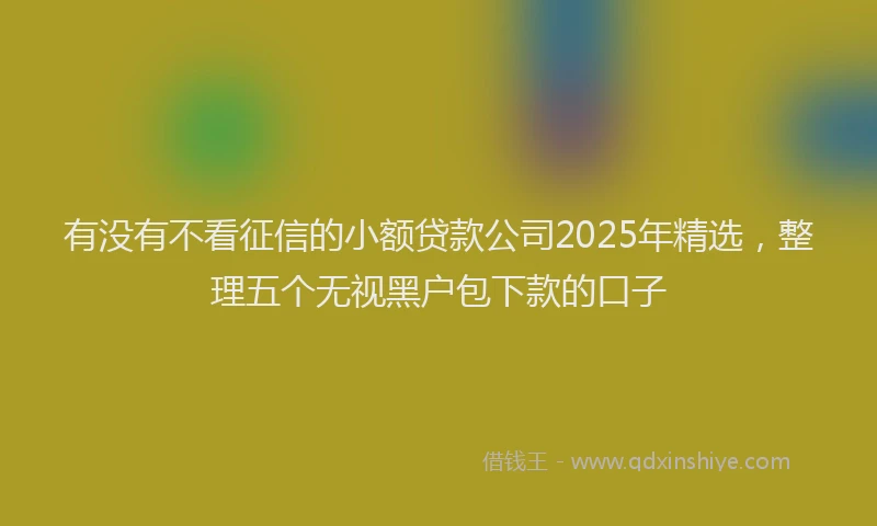有没有不看征信的小额贷款公司2025年精选，整理五个无视黑户包下款的口子