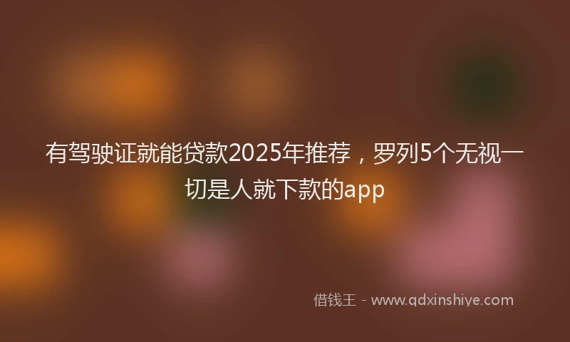 有驾驶证就能贷款2025年推荐，罗列5个无视一切是人就下款的app