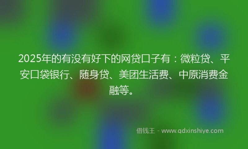 2025年的有没有好下的网贷口子有：微粒贷、平安口袋银行、随身贷、美团生活费、中原消费金融等。