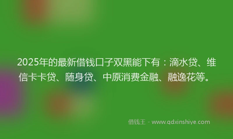 2025年的最新借钱口子双黑能下有：滴水贷、维信卡卡贷、随身贷、中原消费金融、融逸花等。