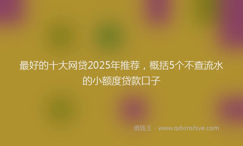 最好的十大网贷2025年推荐，概括5个不查流水的小额度贷款口子