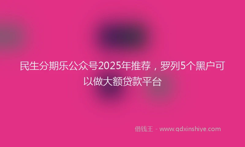 民生分期乐公众号2025年推荐，罗列5个黑户可以做大额贷款平台