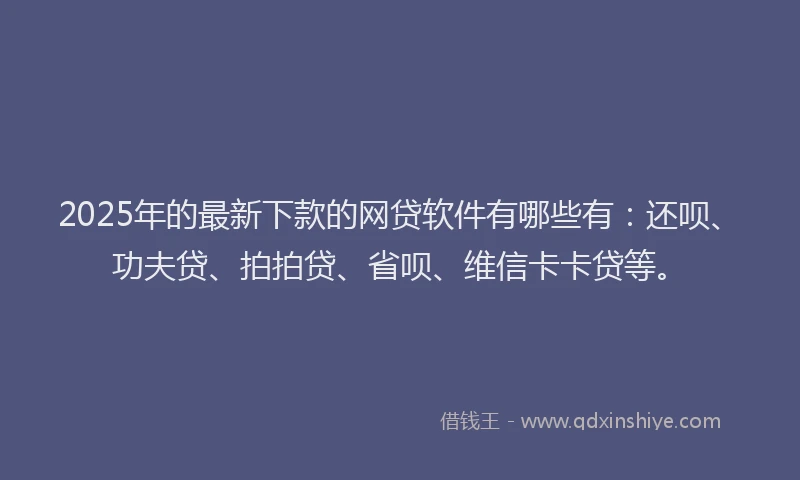 2025年的最新下款的网贷软件有哪些有：还呗、功夫贷、拍拍贷、省呗、维信卡卡贷等。