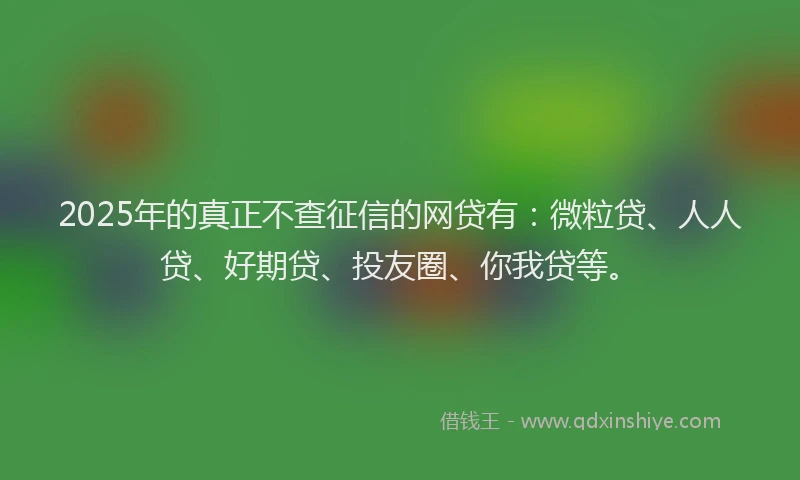 2025年的真正不查征信的网贷有：微粒贷、人人贷、好期贷、投友圈、你我贷等。