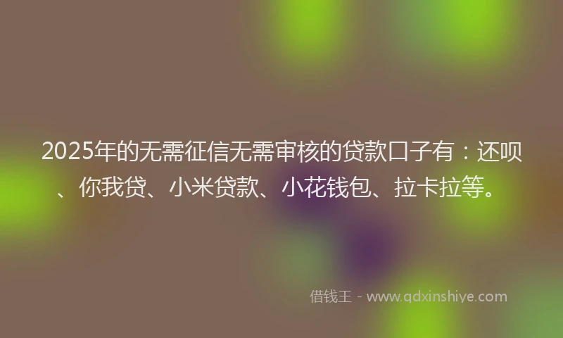 2025年的无需征信无需审核的贷款口子有：还呗、你我贷、小米贷款、小花钱包、拉卡拉等。