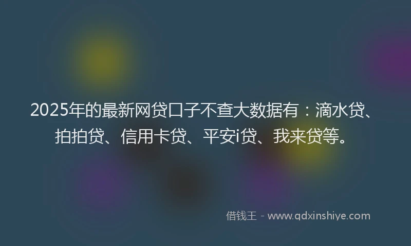 2025年的最新网贷口子不查大数据有：滴水贷、拍拍贷、信用卡贷、平安i贷、我来贷等。