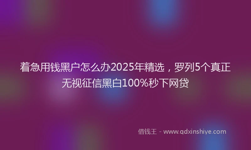 着急用钱黑户怎么办2025年精选，罗列5个真正无视征信黑白100%秒下网贷