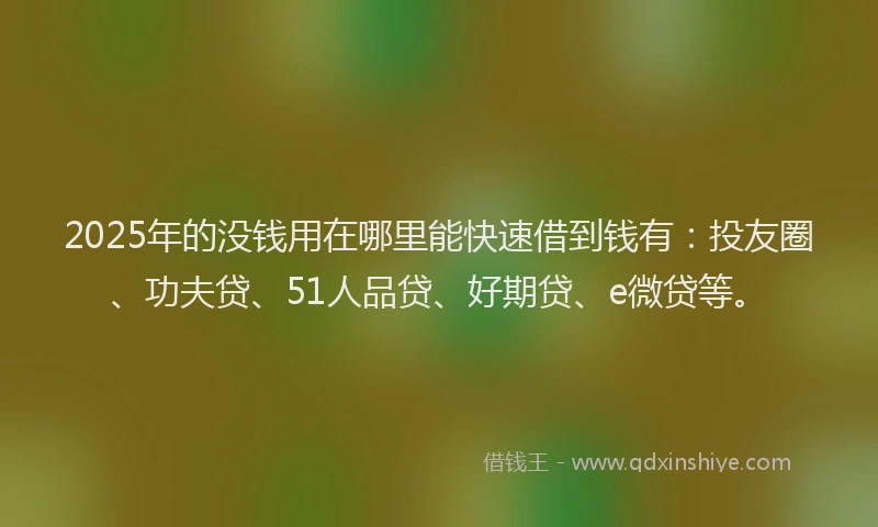 2025年的没钱用在哪里能快速借到钱有：投友圈、功夫贷、51人品贷、好期贷、e微贷等。