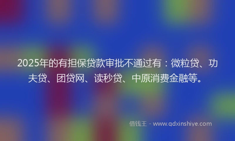 2025年的有担保贷款审批不通过有：微粒贷、功夫贷、团贷网、读秒贷、中原消费金融等。