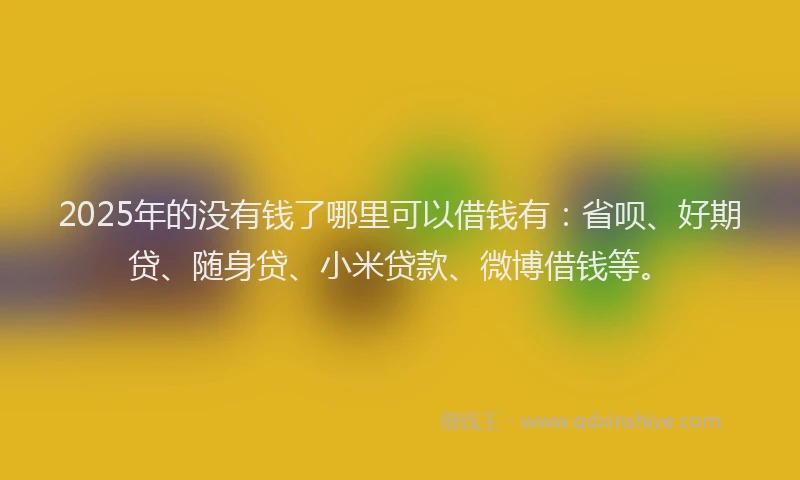 2025年的没有钱了哪里可以借钱有：省呗、好期贷、随身贷、小米贷款、微博借钱等。