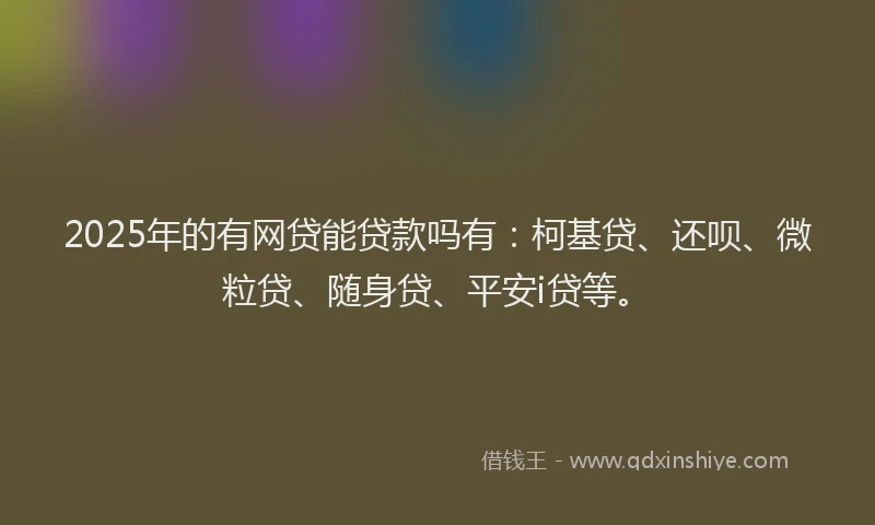 2025年的有网贷能贷款吗有：柯基贷、还呗、微粒贷、随身贷、平安i贷等。