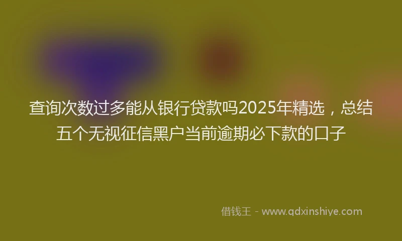 查询次数过多能从银行贷款吗2025年精选，总结五个无视征信黑户当前逾期必下款的口子