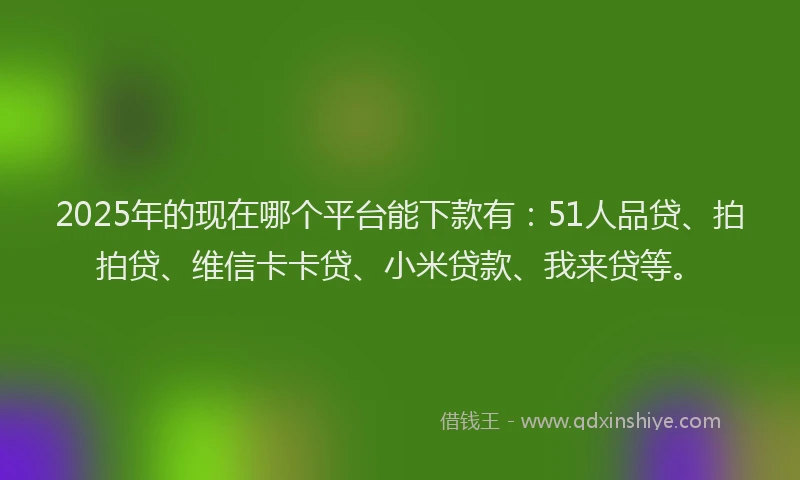 2025年的现在哪个平台能下款有：51人品贷、拍拍贷、维信卡卡贷、小米贷款、我来贷等。