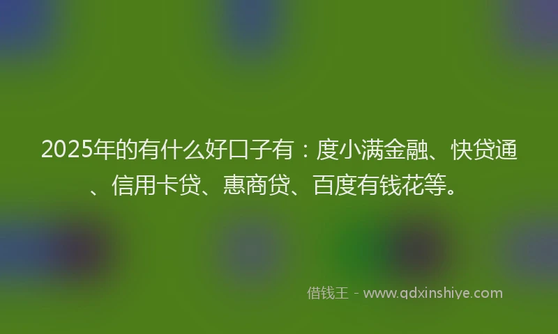 2025年的有什么好口子有：度小满金融、快贷通、信用卡贷、惠商贷、百度有钱花等。