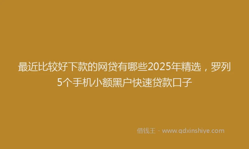 最近比较好下款的网贷有哪些2025年精选，罗列5个手机小额黑户快速贷款口子
