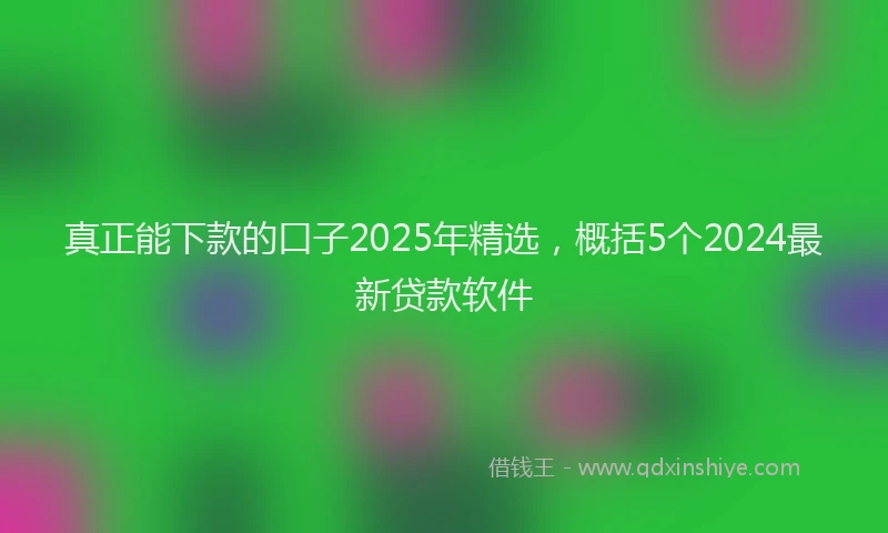 真正能下款的口子2025年精选，概括5个2024最新贷款软件