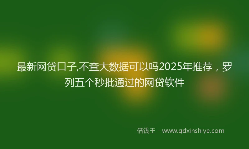 最新网贷口子,不查大数据可以吗2025年推荐，罗列五个秒批通过的网贷软件