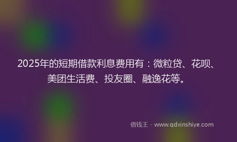 2025年的短期借款利息费用有：微粒贷、花呗、美团生活费、投友圈、融逸花等。