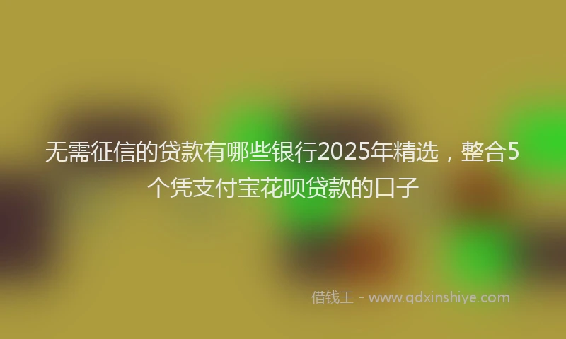 无需征信的贷款有哪些银行2025年精选，整合5个凭支付宝花呗贷款的口子