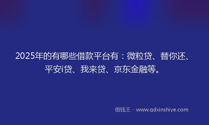 2025年的有哪些借款平台有：微粒贷、替你还、平安i贷、我来贷、京东金融等。
