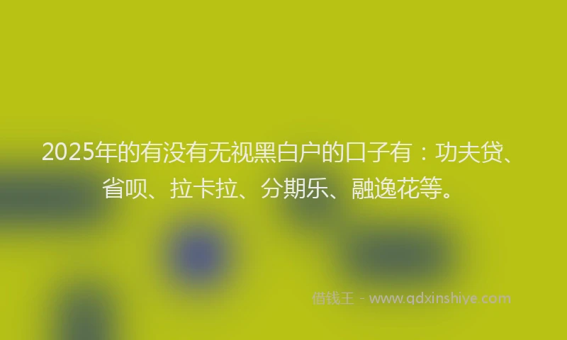2025年的有没有无视黑白户的口子有：功夫贷、省呗、拉卡拉、分期乐、融逸花等。