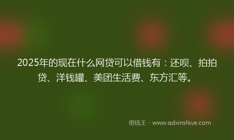 2025年的现在什么网贷可以借钱有：还呗、拍拍贷、洋钱罐、美团生活费、东方汇等。