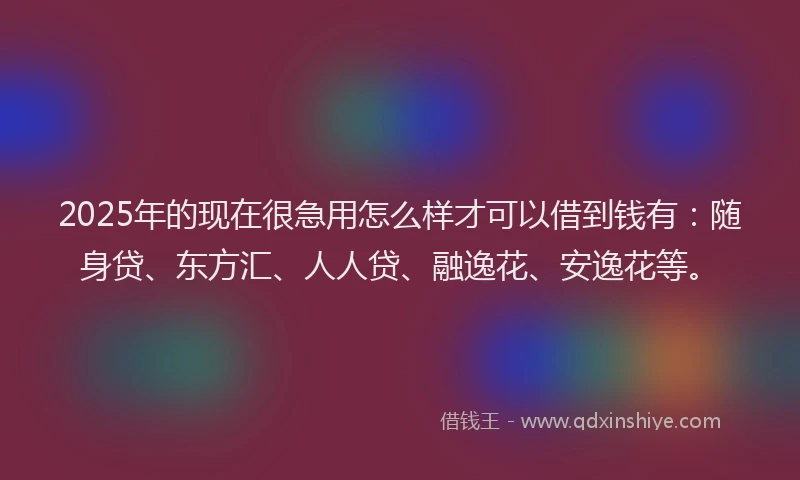 2025年的现在很急用怎么样才可以借到钱有：随身贷、东方汇、人人贷、融逸花、安逸花等。