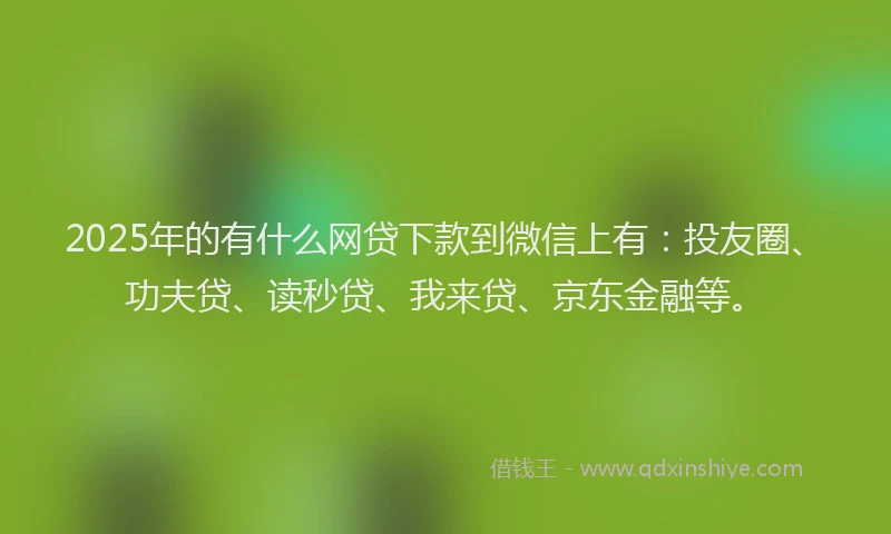 2025年的有什么网贷下款到微信上有：投友圈、功夫贷、读秒贷、我来贷、京东金融等。