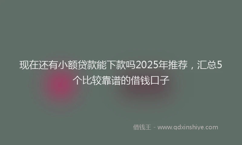 现在还有小额贷款能下款吗2025年推荐，汇总5个比较靠谱的借钱口子