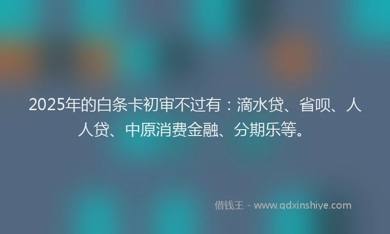 2025年的白条卡初审不过有：滴水贷、省呗、人人贷、中原消费金融、分期乐等。