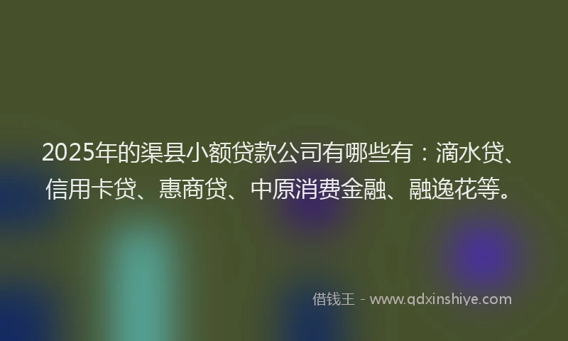 2025年的渠县小额贷款公司有哪些有：滴水贷、信用卡贷、惠商贷、中原消费金融、融逸花等。