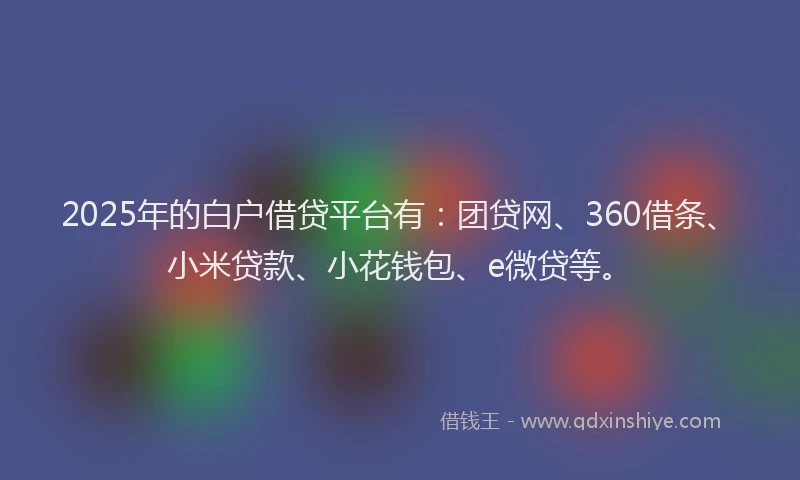 2025年的白户借贷平台有：团贷网、360借条、小米贷款、小花钱包、e微贷等。