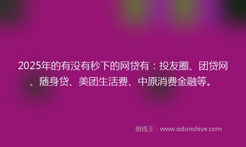 2025年的有没有秒下的网贷有：投友圈、团贷网、随身贷、美团生活费、中原消费金融等。