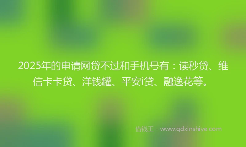 2025年的申请网贷不过和手机号有：读秒贷、维信卡卡贷、洋钱罐、平安i贷、融逸花等。