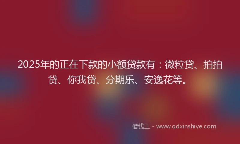 2025年的正在下款的小额贷款有：微粒贷、拍拍贷、你我贷、分期乐、安逸花等。
