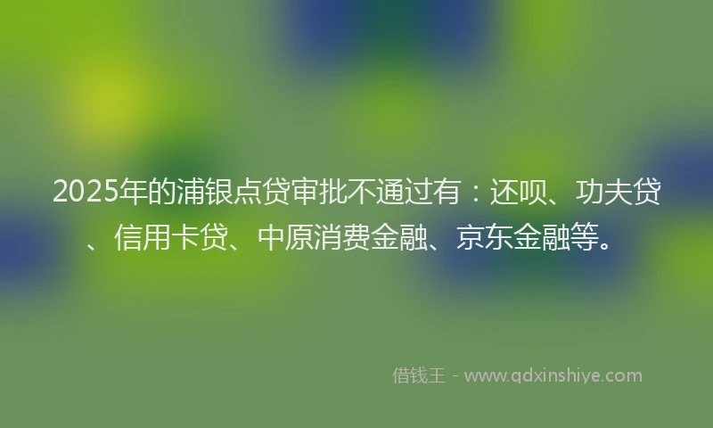 2025年的浦银点贷审批不通过有：还呗、功夫贷、信用卡贷、中原消费金融、京东金融等。