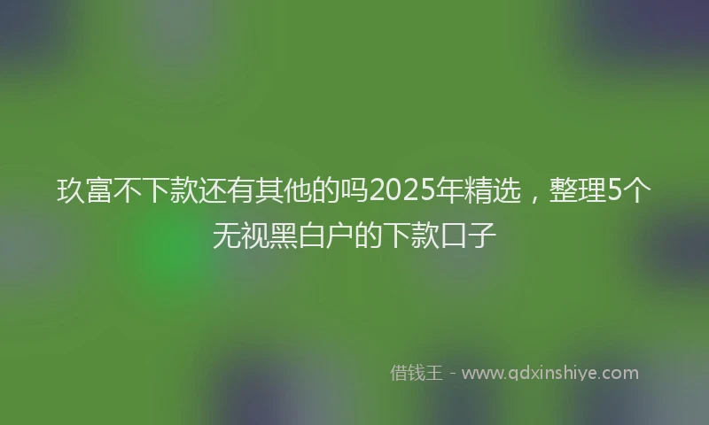 玖富不下款还有其他的吗2025年精选，整理5个无视黑白户的下款口子